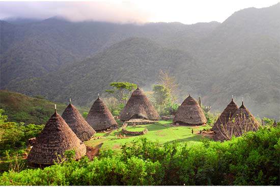 Destinasi Wisata Flores Desa Waerebo